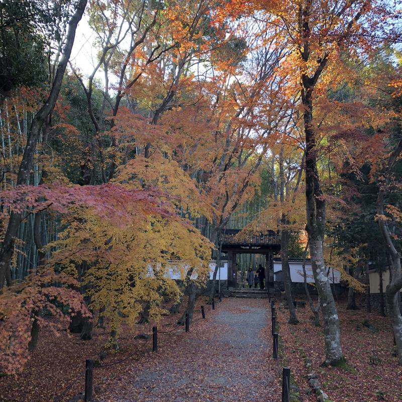 Kenさんさんの白山湯 高辻店のサ活写真