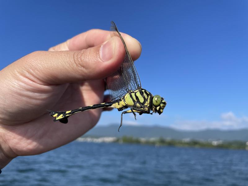 おちみさんの草津湯元 水春のサ活写真