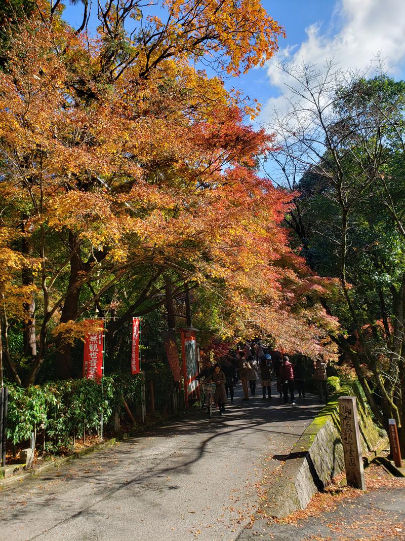 なでしこさんのサウナの梅湯のサ活写真