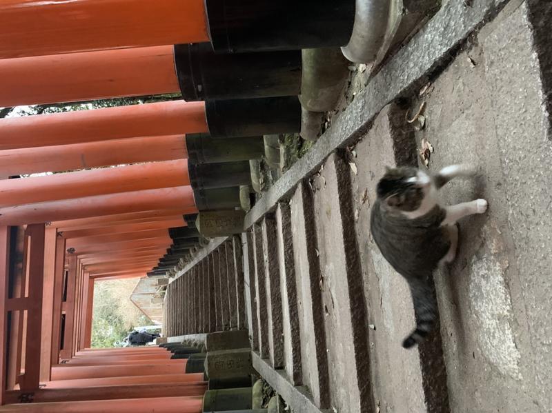 九段下上さんのサウナの梅湯のサ活写真