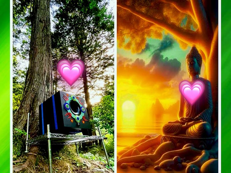 SHIN-ON(心温) 心音浴(※サービスオプション)