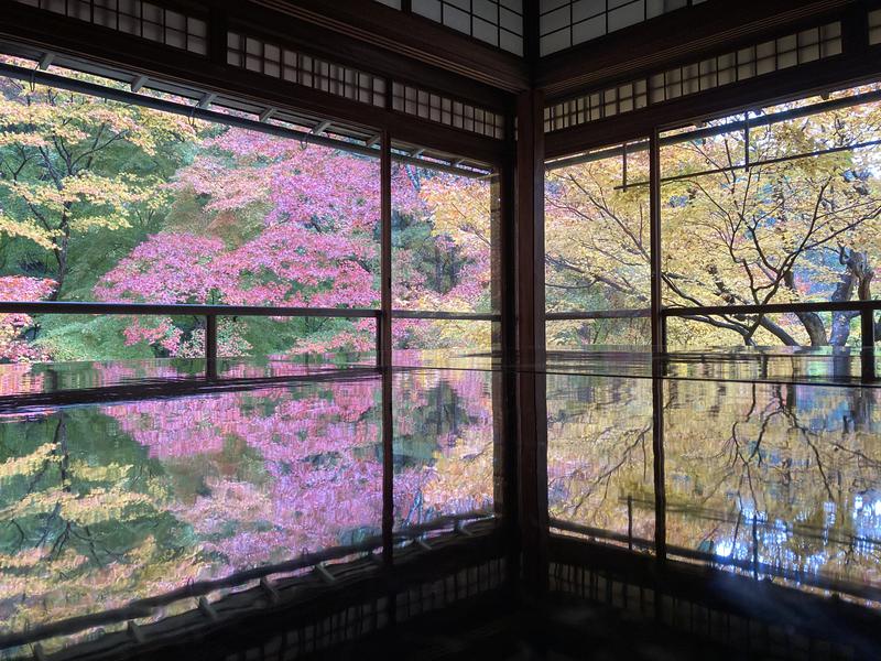 ぎょうざさんの花蛍の湯 ドーミーインPREMIUM京都駅前のサ活写真