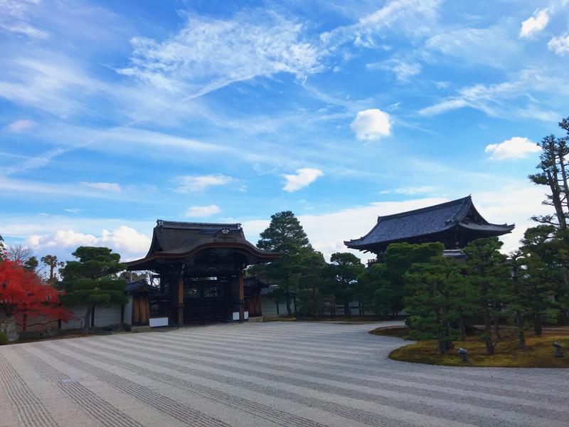 ぎんさんの天然温泉 花蛍の湯(ドーミーインPREMIUM京都駅前)のサ活写真