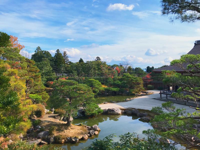 ぎんさんの天然温泉 花蛍の湯(ドーミーインPREMIUM京都駅前)のサ活写真