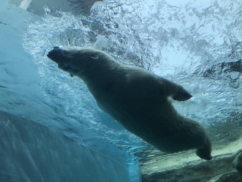 サウナースさんの東静岡 天然温泉 柚木の郷のサ活写真