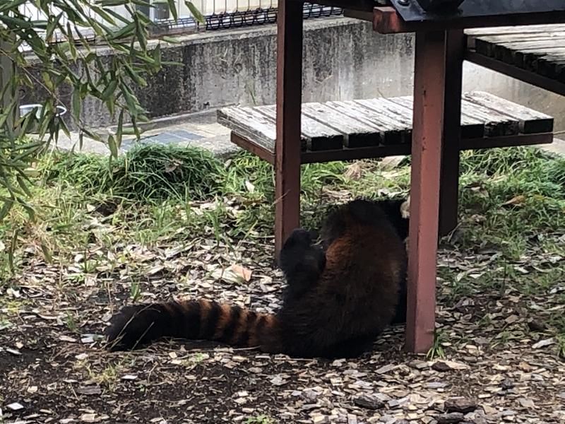 サウナースさんの東静岡 天然温泉 柚木の郷のサ活写真