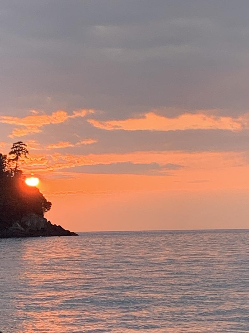 ウサギさんの湯の花亭のサ活写真