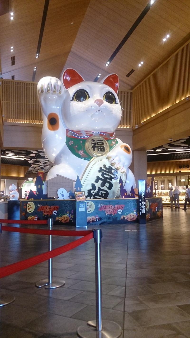 チャンさんの常滑温泉 マーゴの湯のサ活写真