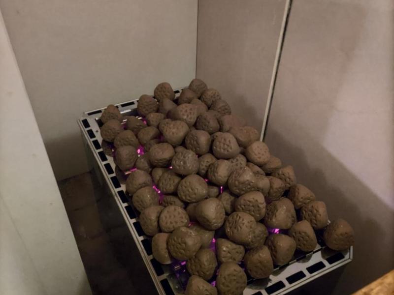 天然温泉 コロナの湯 半田店 サウナストーブ（女性）