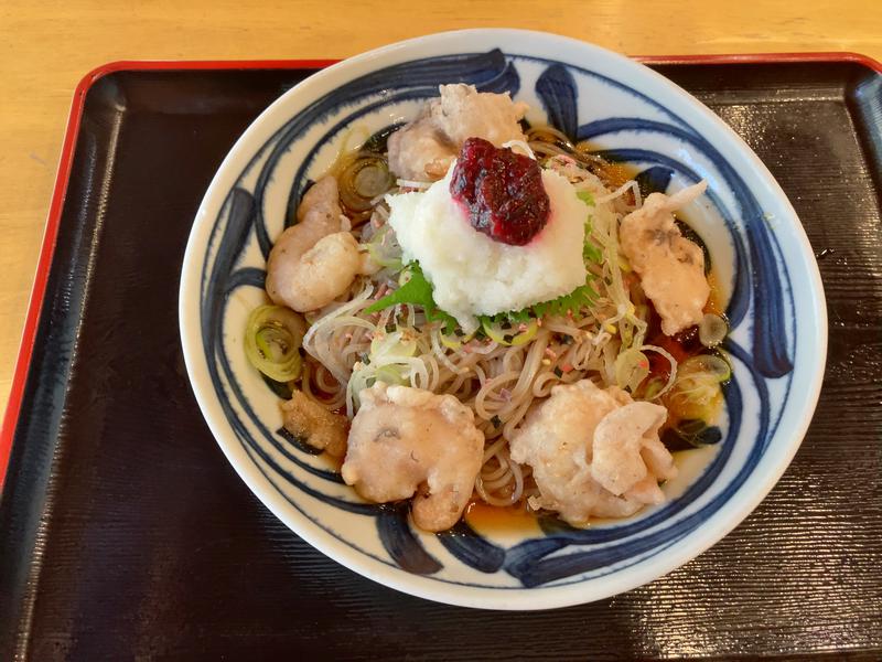 田中ひじきさんの田代の郷温泉 伊太和里の湯のサ活写真