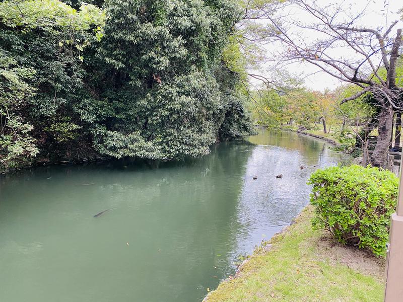 やまピー監督さんの湯ったりハウスのサ活写真