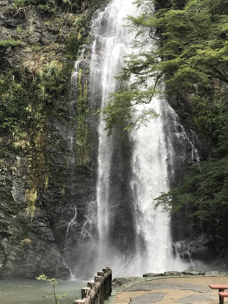 サ山サトルさんの大江戸温泉物語 箕面温泉スパーガーデン (箕面観光ホテル)のサ活写真