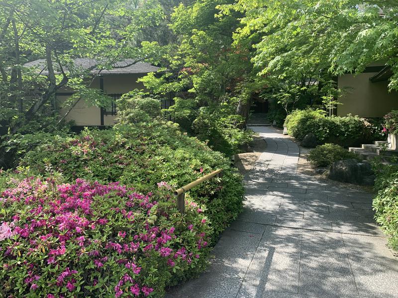 サウナの鳥さんの上方温泉一休京都本館のサ活写真