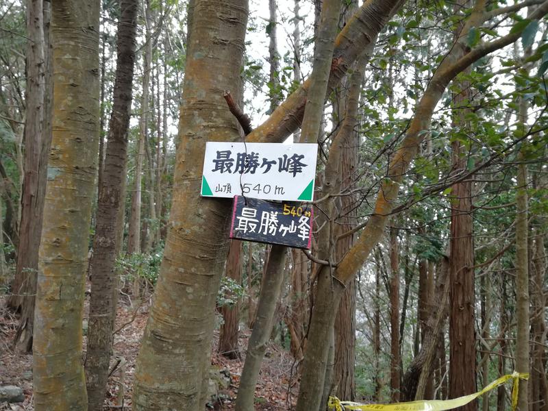 孤島さんの箕面湯元 水春のサ活写真