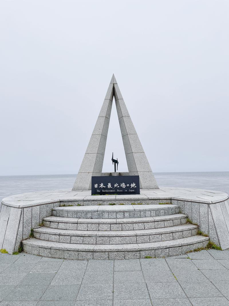 エッセンシャル飯村さんの天然温泉 天北の湯 ドーミーイン稚内のサ活写真