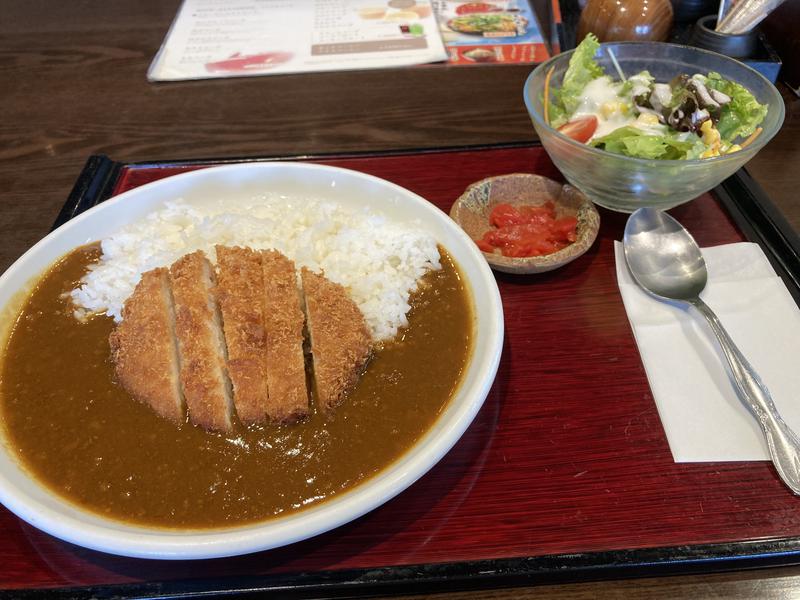 にっしーさんの神州温泉 あるごの湯のサ活写真