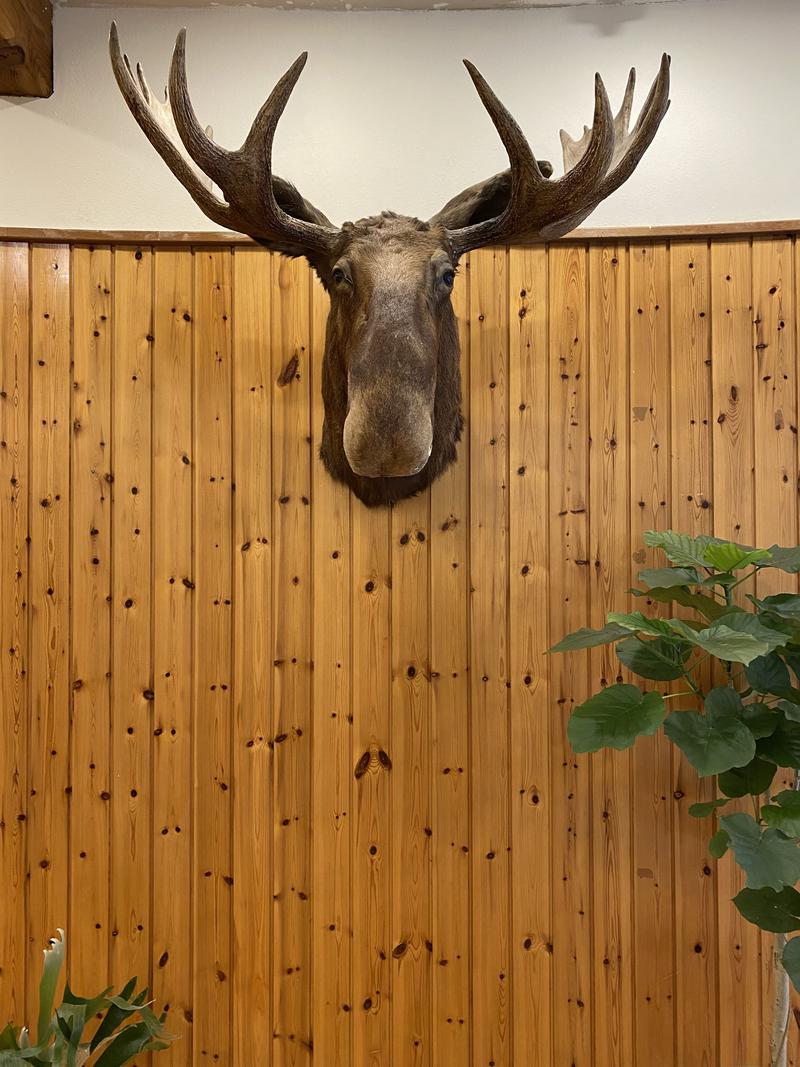 13さんのニュージャパン 梅田店(カプセルイン大阪)のサ活写真