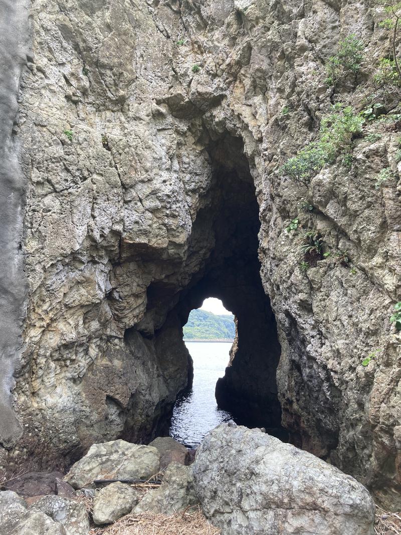 ボケナス花火さんの蓮台寺温泉 清流荘のサ活写真