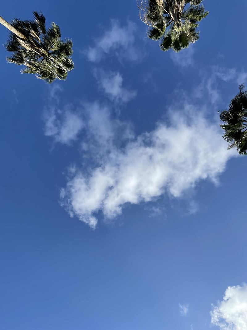 EARTH,WIND&SAUNAさんの蓮台寺温泉 清流荘のサ活写真