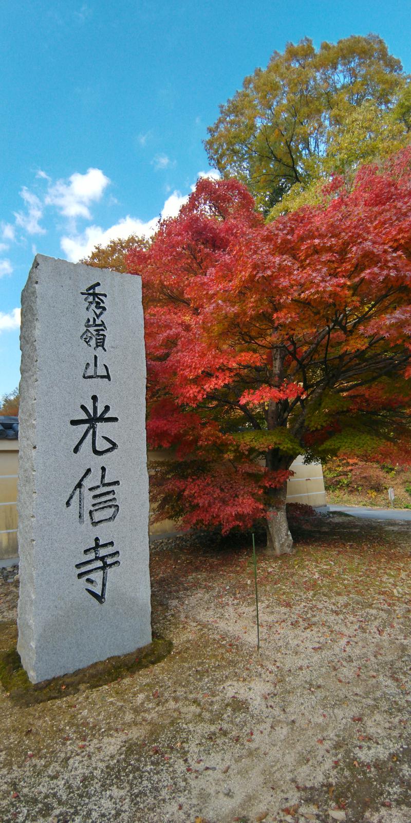 コブラさんの光信寺の湯 ゆっくらのサ活写真