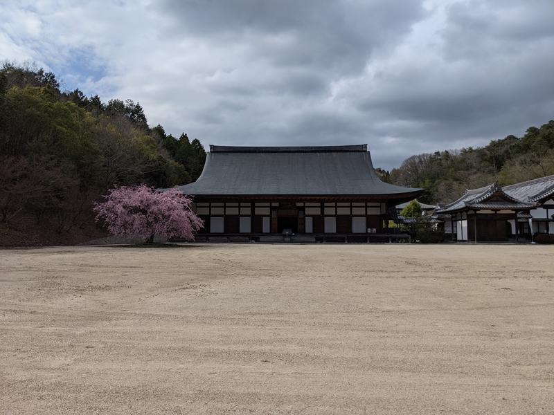 ゆらりこさんの光信寺の湯 ゆっくらのサ活写真