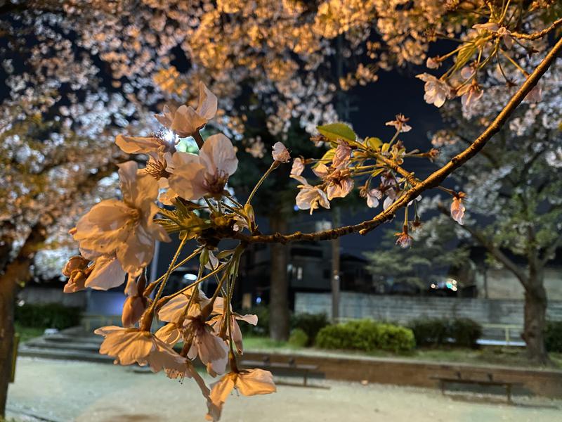 ミーのカーさんのホテルモントレ ラ・スール大阪 スパ･トリニテのサ活写真