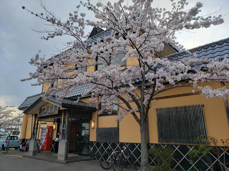 函館のサウナ好き！さんの山の手温泉のサ活写真