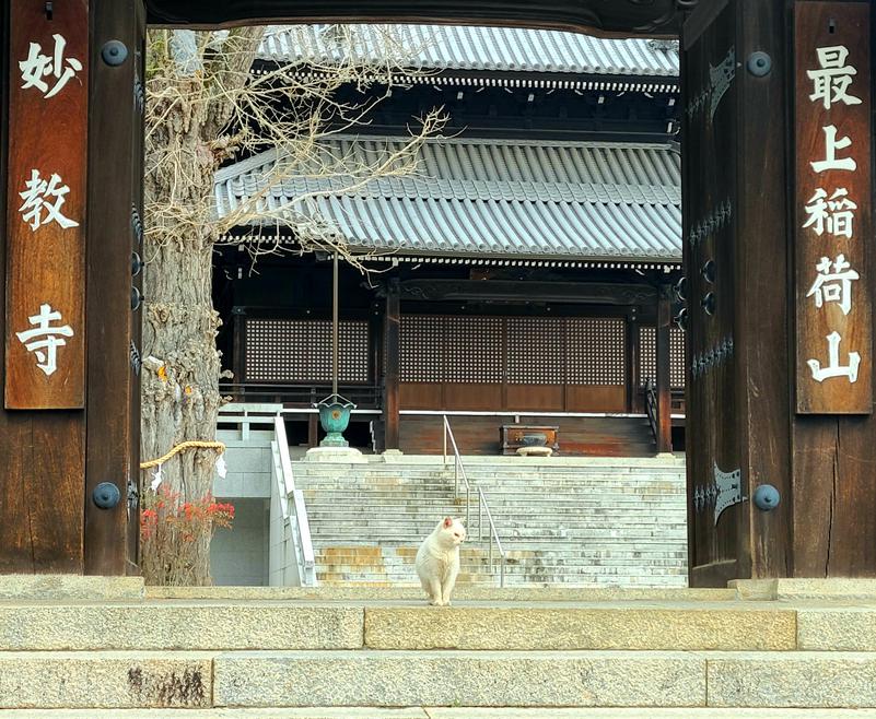 オッチーさんの神辺天然温泉 ぐらんの湯のサ活写真