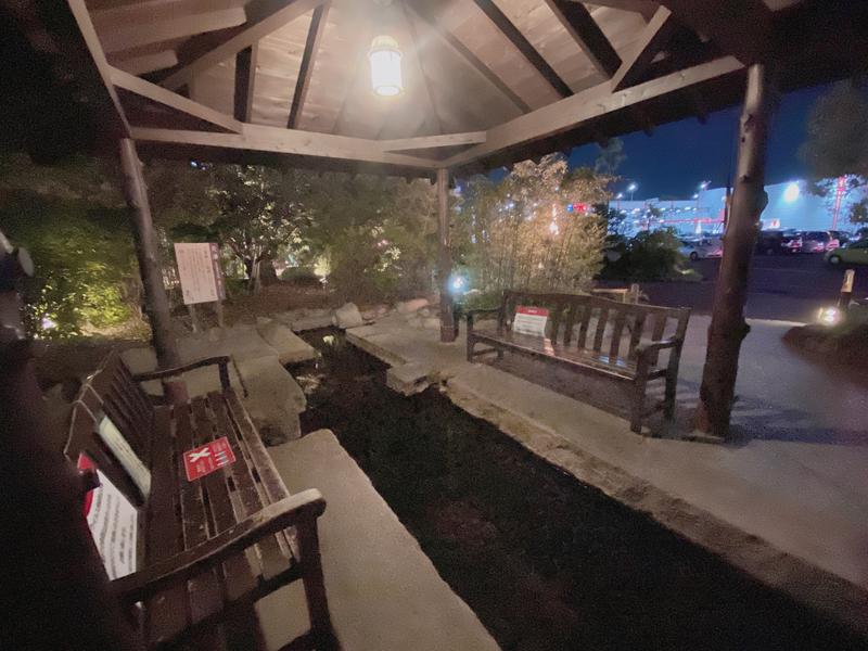 CHISAさんの天然温泉 延羽の湯 本店 羽曳野のサ活写真