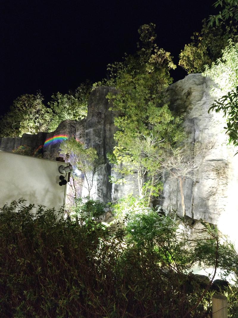 とんでもサウナさんの虹の湯大阪狭山店のサ活写真