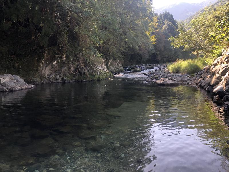 西園寺さんの国民宿舎 湯来ロッジのサ活写真