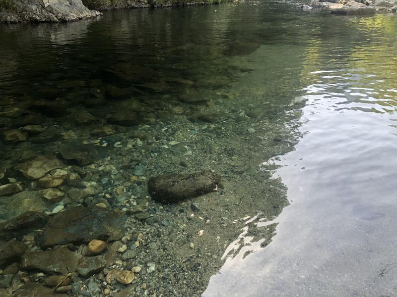 西園寺さんの国民宿舎 湯来ロッジのサ活写真