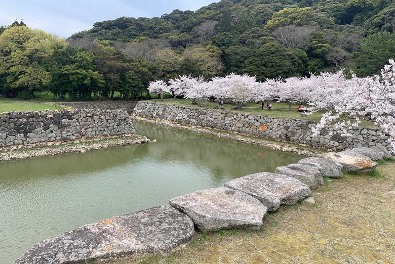 みーさんのふかわの湯のサ活写真