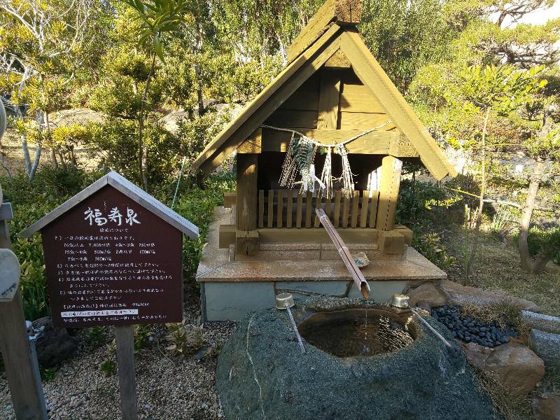 粗塩さんの福寿荘のサ活写真