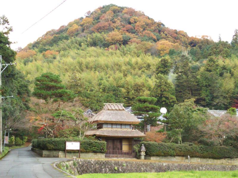 Blue_Skさんの山水園 翠山の湯のサ活写真