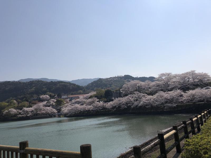 コノマヤさんのたからだの里環の湯のサ活写真