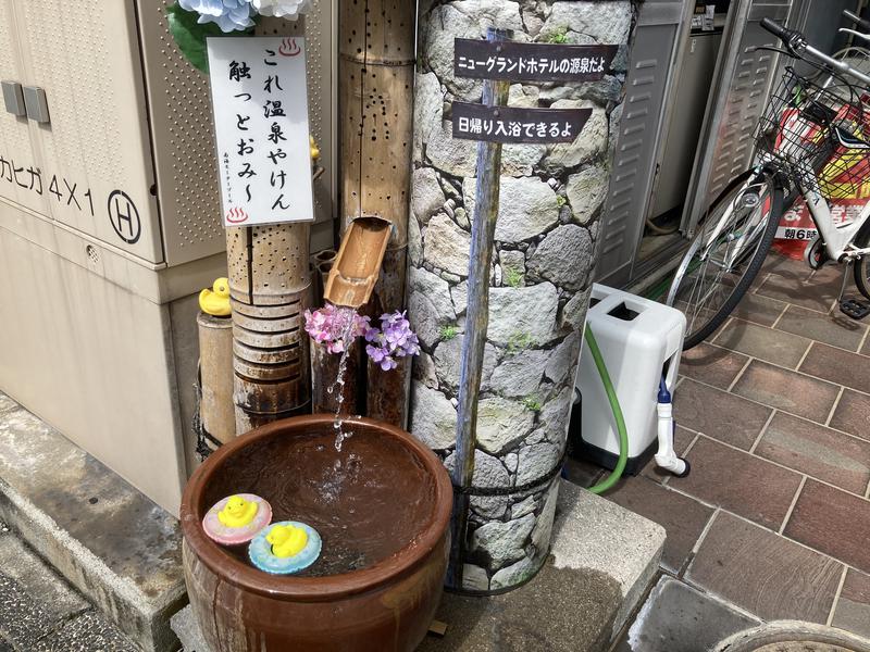 文鳥丸さんの松山ニューグランドホテル 天然温泉ゆるりんのサ活写真