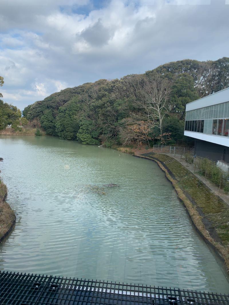 モチのロンさんの宗像王丸・天然温泉 やまつばさのサ活写真