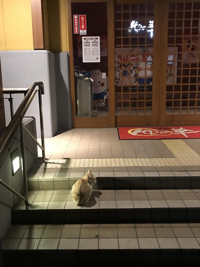 やわめんさんの天然温泉 天神ゆの華のサ活写真