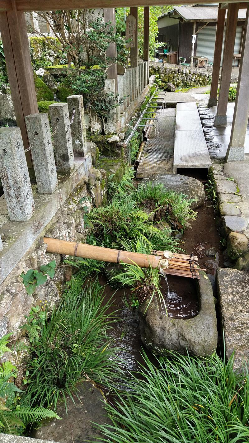 すいさんの畑冷泉館のサ活写真