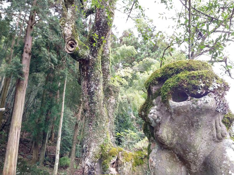 すいさんの畑冷泉館のサ活写真