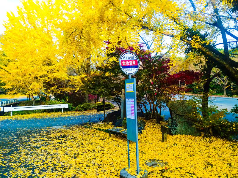 ぷりかさんの八面山金色温泉のサ活写真