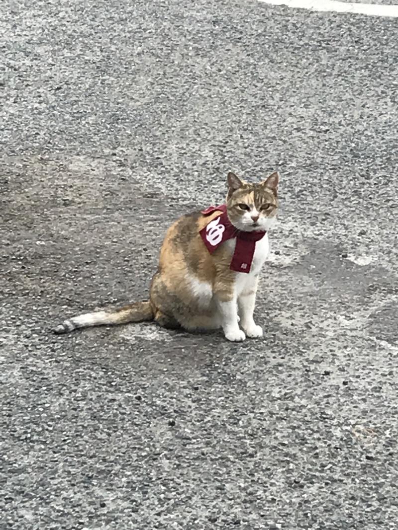 でこぽんさんのまむしの湯のサ活写真