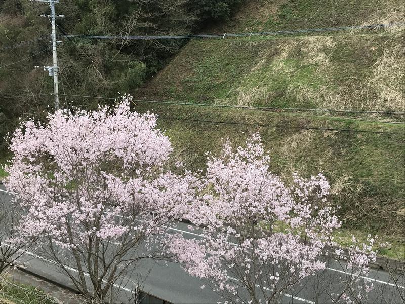 でこぽんさんの筑紫野 天拝の郷のサ活写真