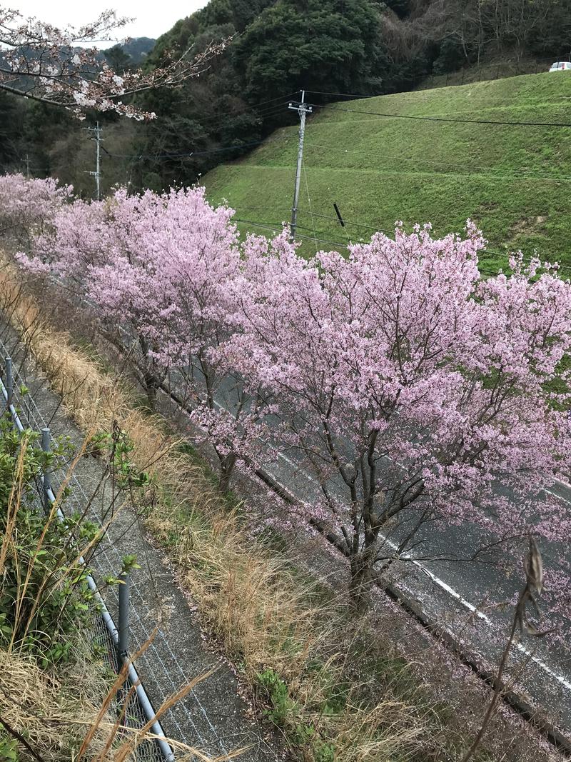 SHUさんの筑紫野 天拝の郷のサ活写真