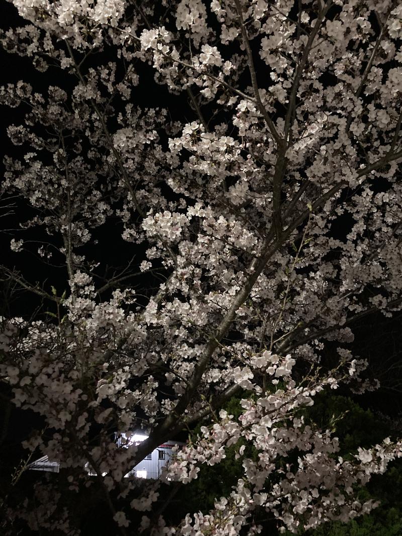 でこぽんさんの筑紫野 天拝の郷のサ活写真