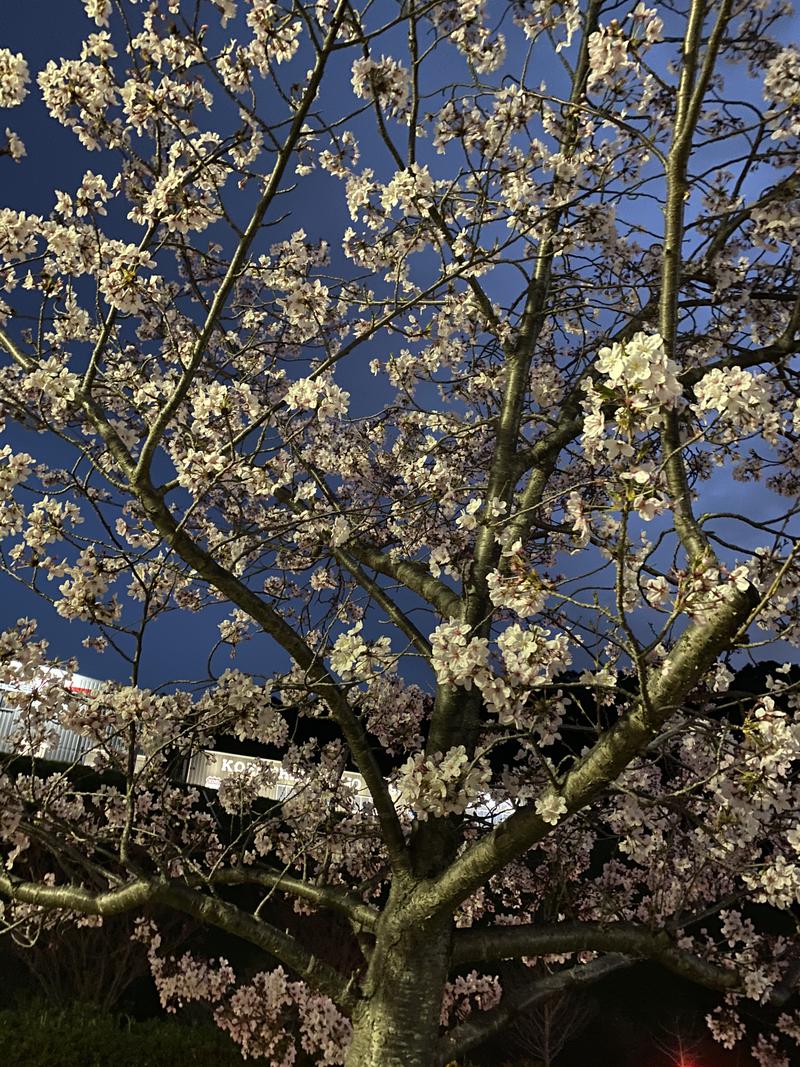 takさんの筑紫野 天拝の郷のサ活写真