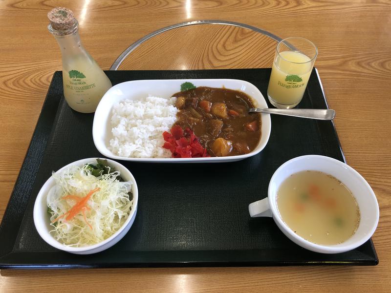 かつぬしさんの板柳町ふるさとセンター 青柳館 ふるさと温泉のサ活写真