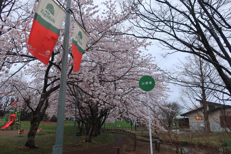 Mazo Itohさんの板柳町ふるさとセンター 青柳館 ふるさと温泉のサ活写真