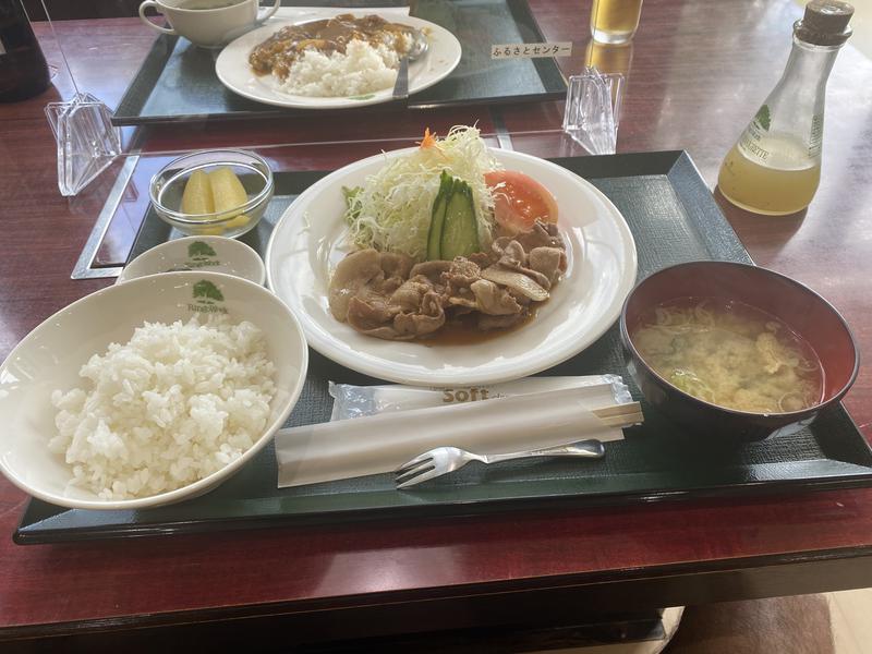 かめさんの板柳町ふるさとセンター 青柳館 ふるさと温泉のサ活写真